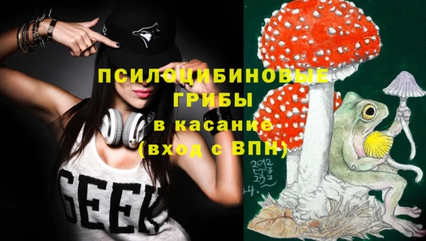 индика Алексеевка