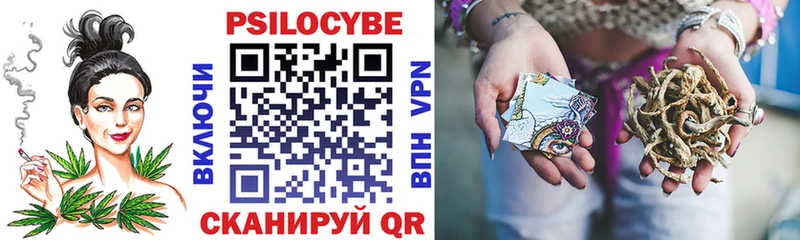 где купить наркоту  Калининск  Галлюциногенные грибы MAGIC MUSHROOMS 